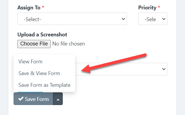 Form Builder - Save & View Form